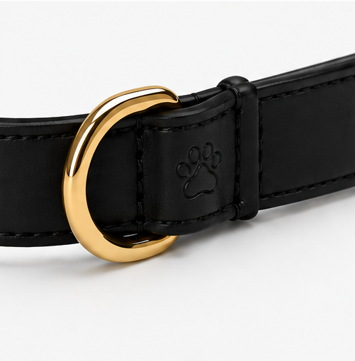 The Collar