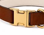 Cognac & Cream White