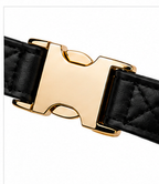 The Collar