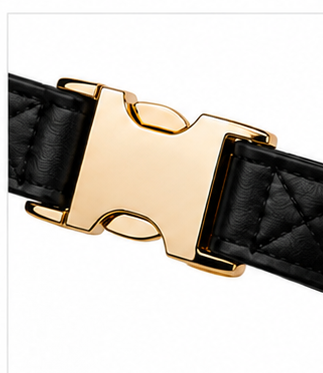 The Collar