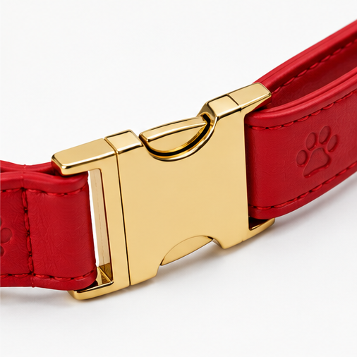 The Collar