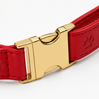 The Collar