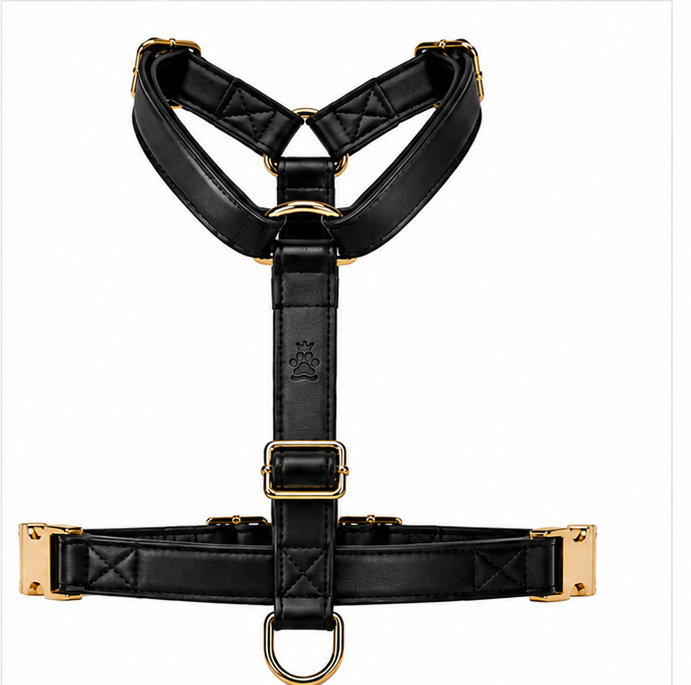 The Black Y-Harness Line