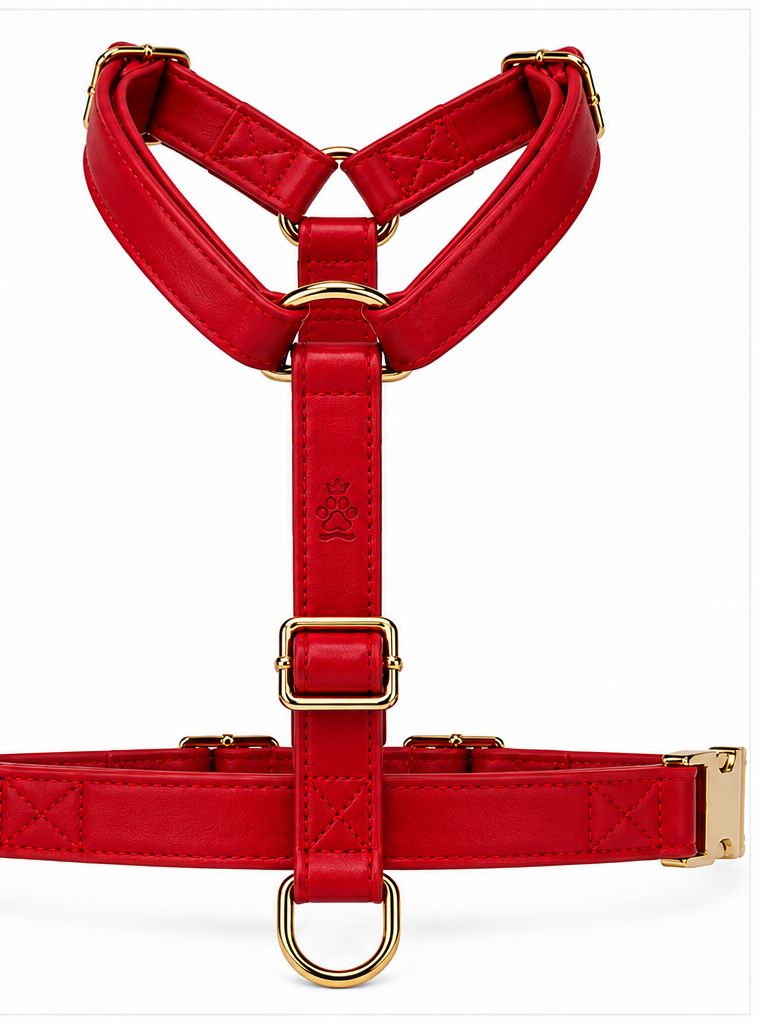 The Red Y-harness line
